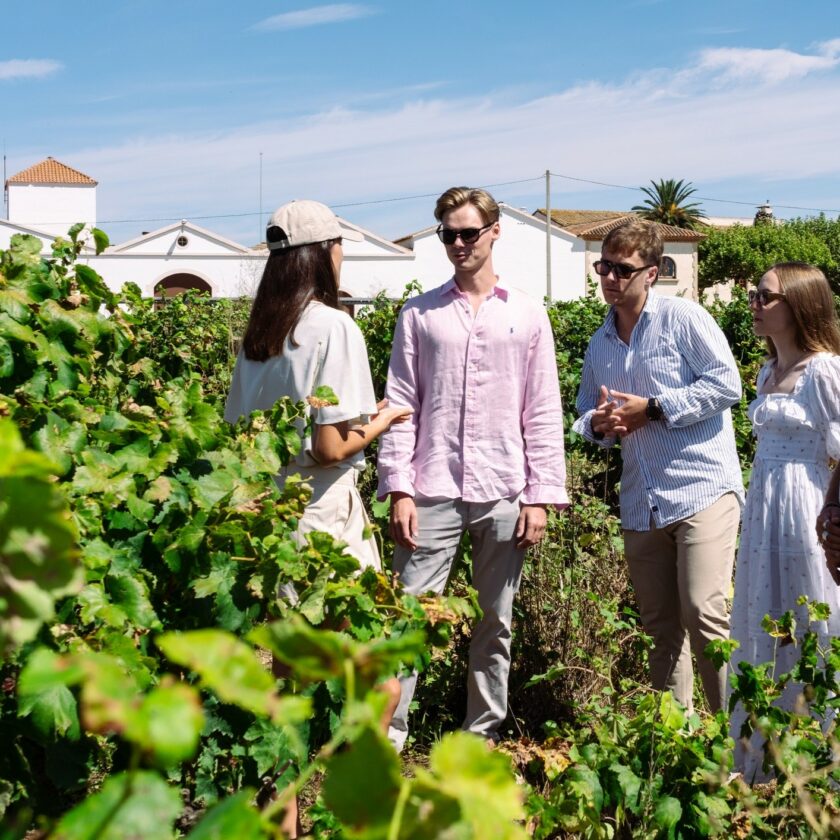 Visit with a tasting of wines and chocolate - Image 2