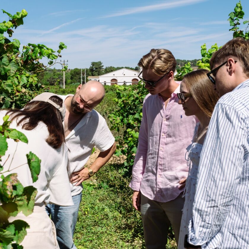 Visit with a tasting of wines and cheeses - Image 2