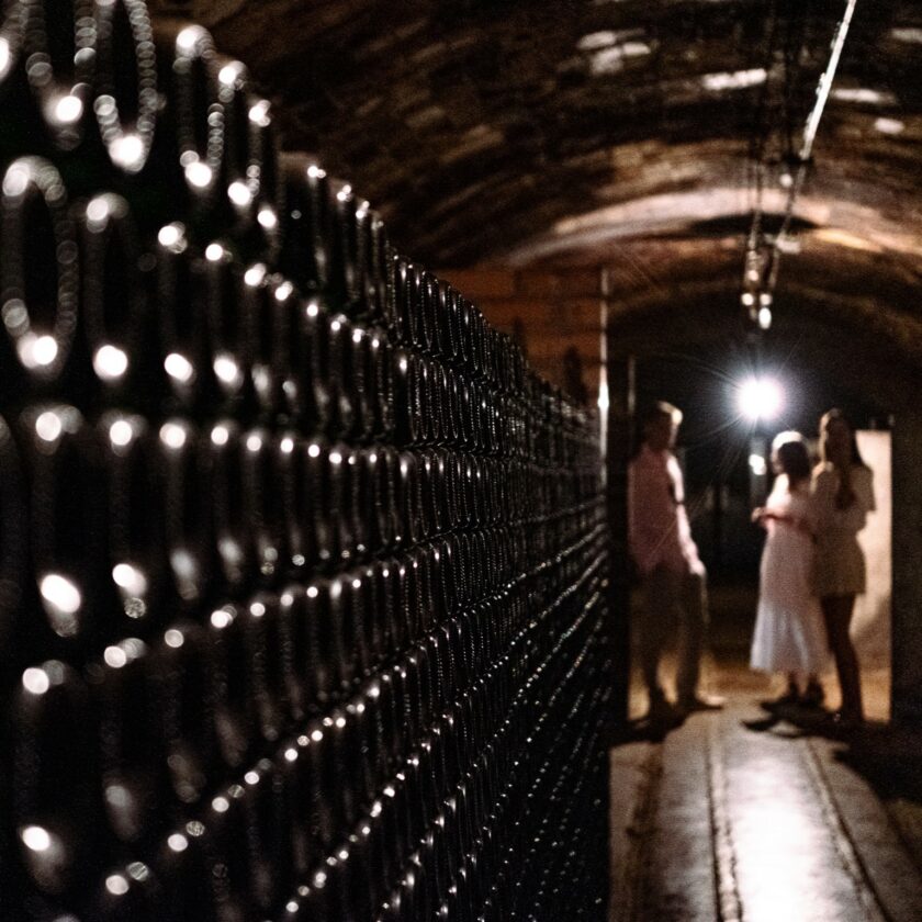 Visit with a tasting of wines and chocolate - Image 4