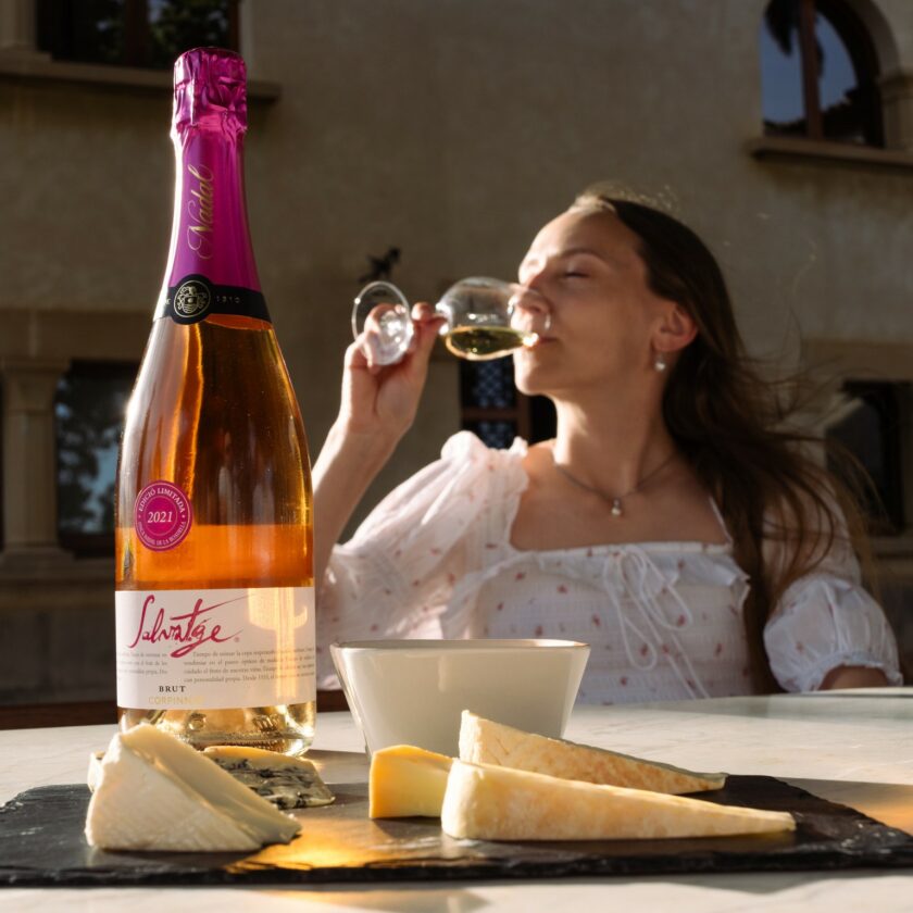 Visit with a tasting of wines and cheeses