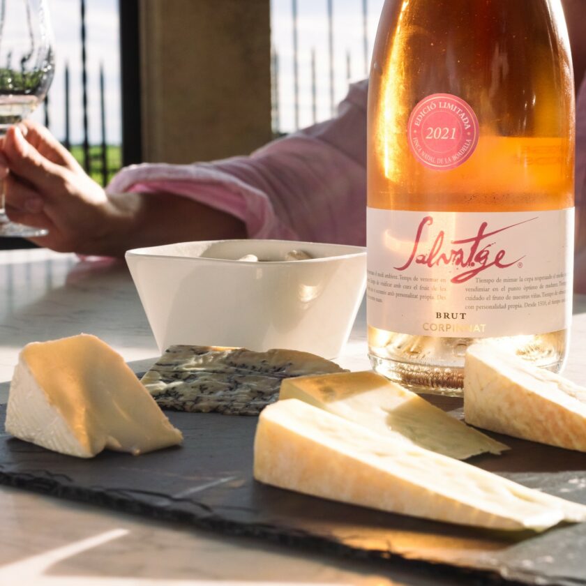 Visit with a tasting of wines and cheeses - Image 4