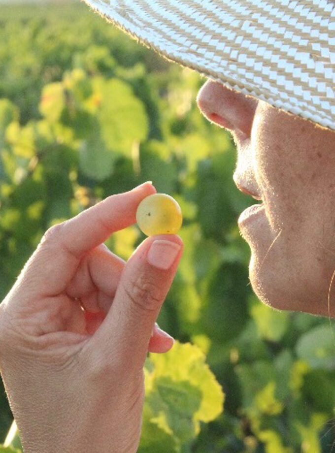 Veremes úniques a la Finca de la Boadella de Nadal