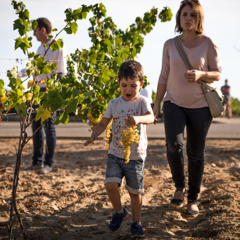 Veremes úniques a la Finca de la Boadella de Nadal