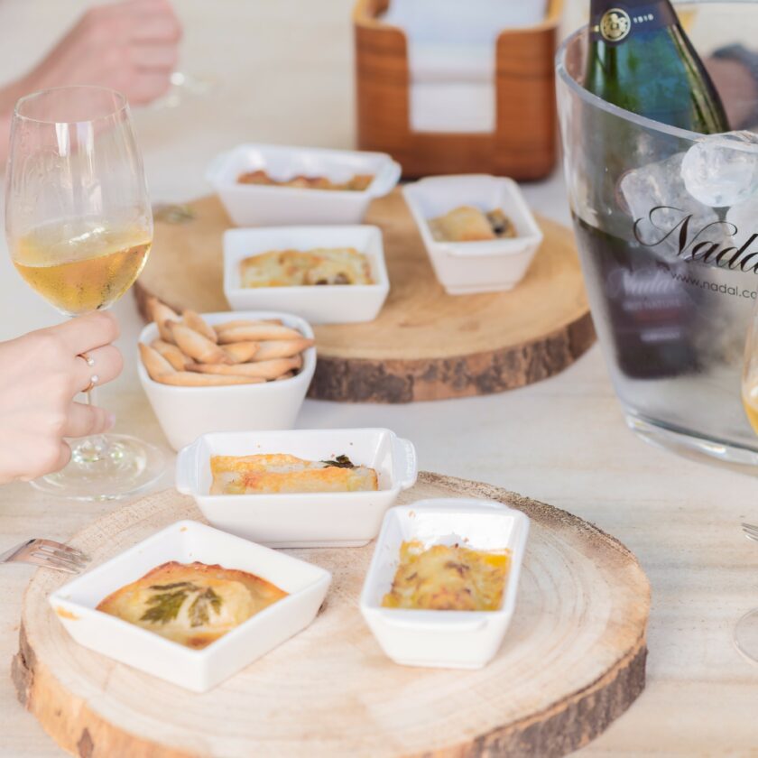 Visita amb tast de vins i mini canelons