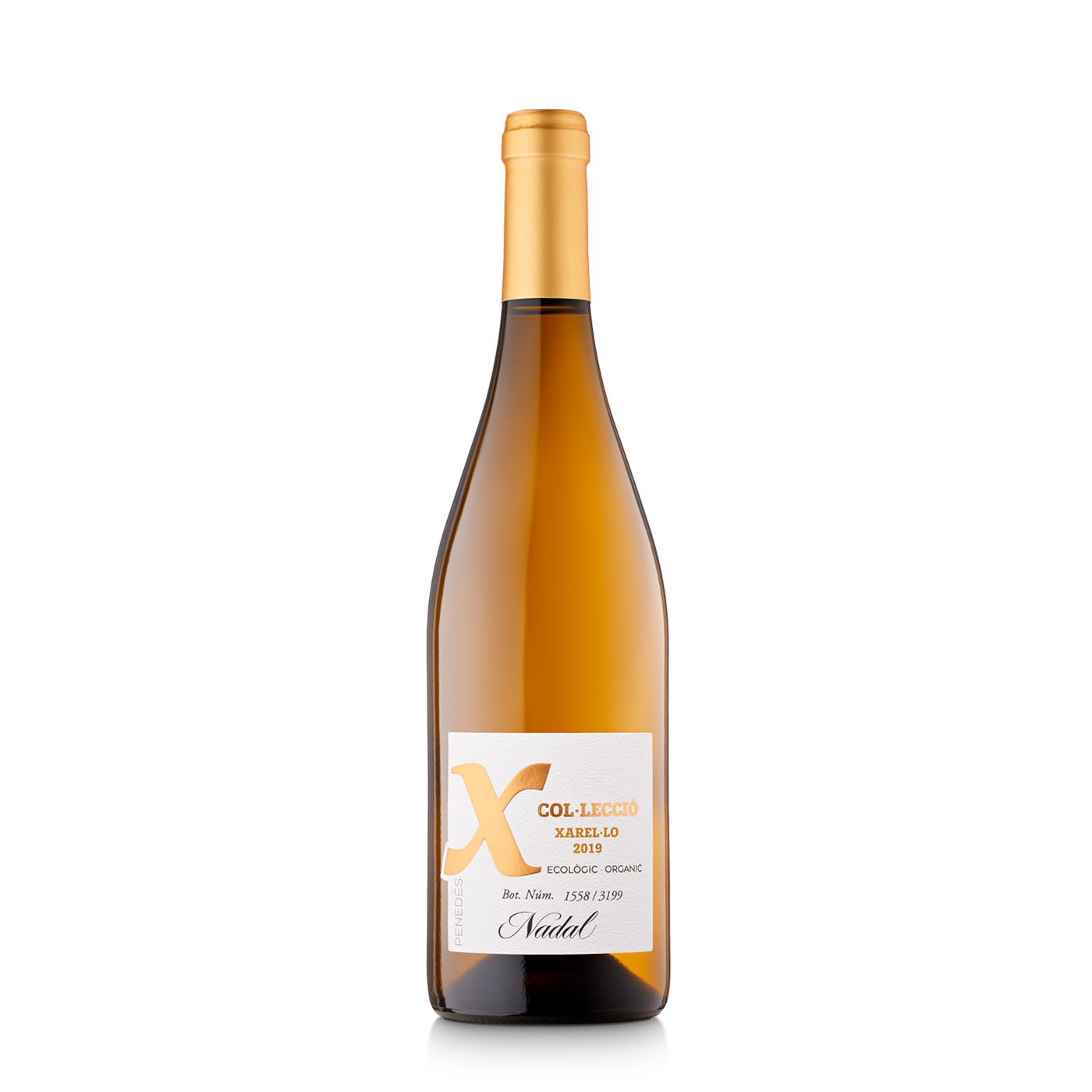 Nadal X Colección 2019