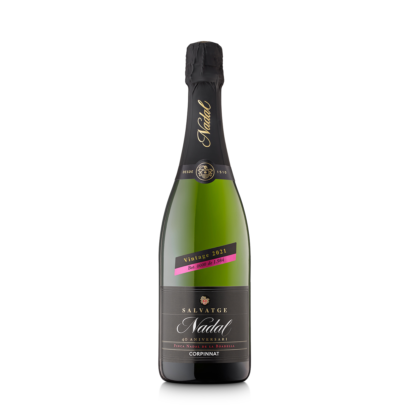 Salvatge Brut 2021 - Ed. 40 aniversari