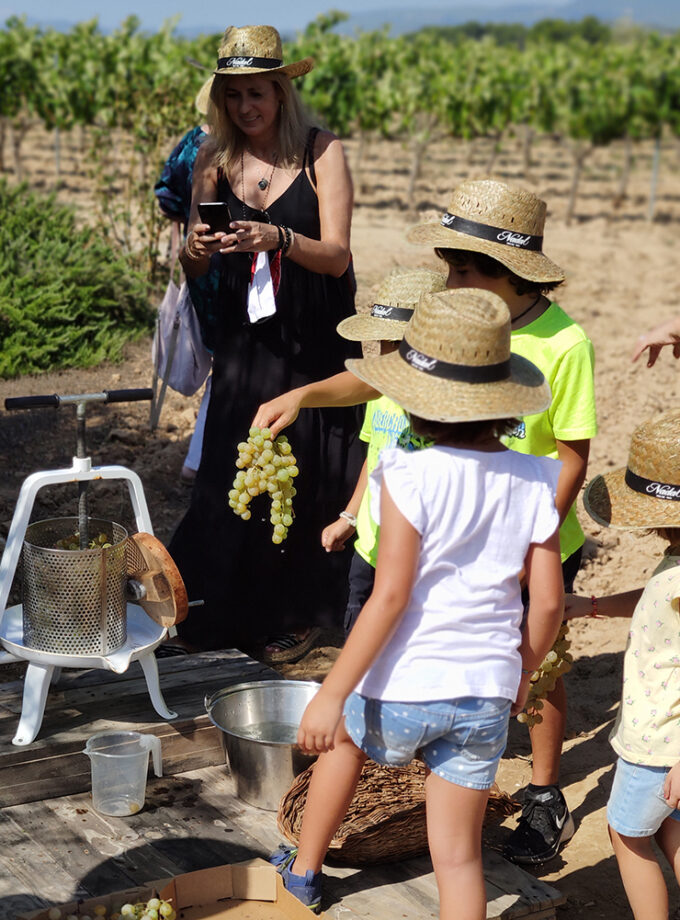 Verema gastronòmica - Diumenge 15