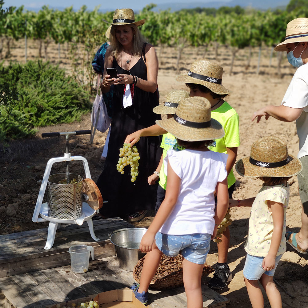 Verema gastronòmica - Diumenge 15