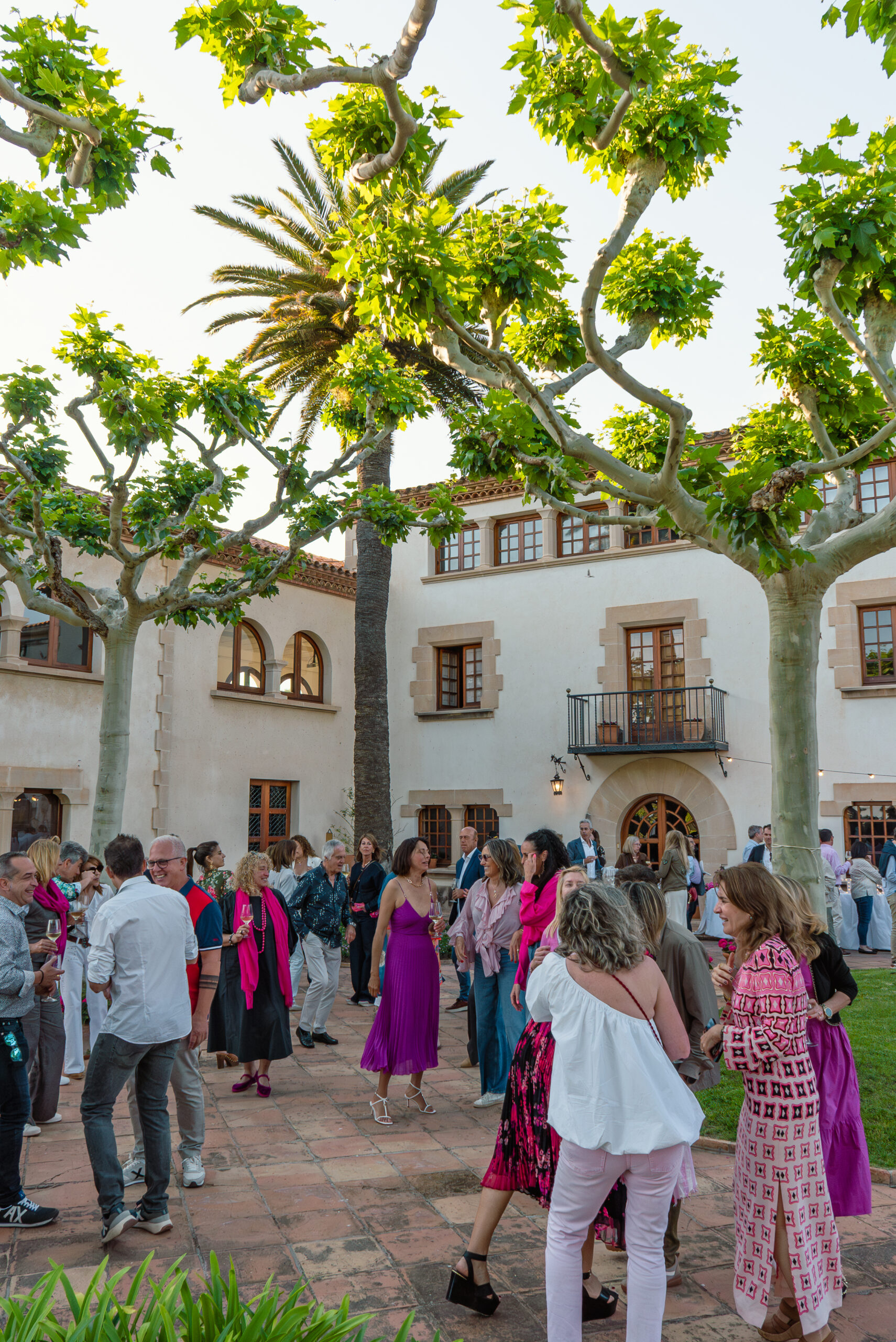 Tardeo Salvatge - Imatge 3