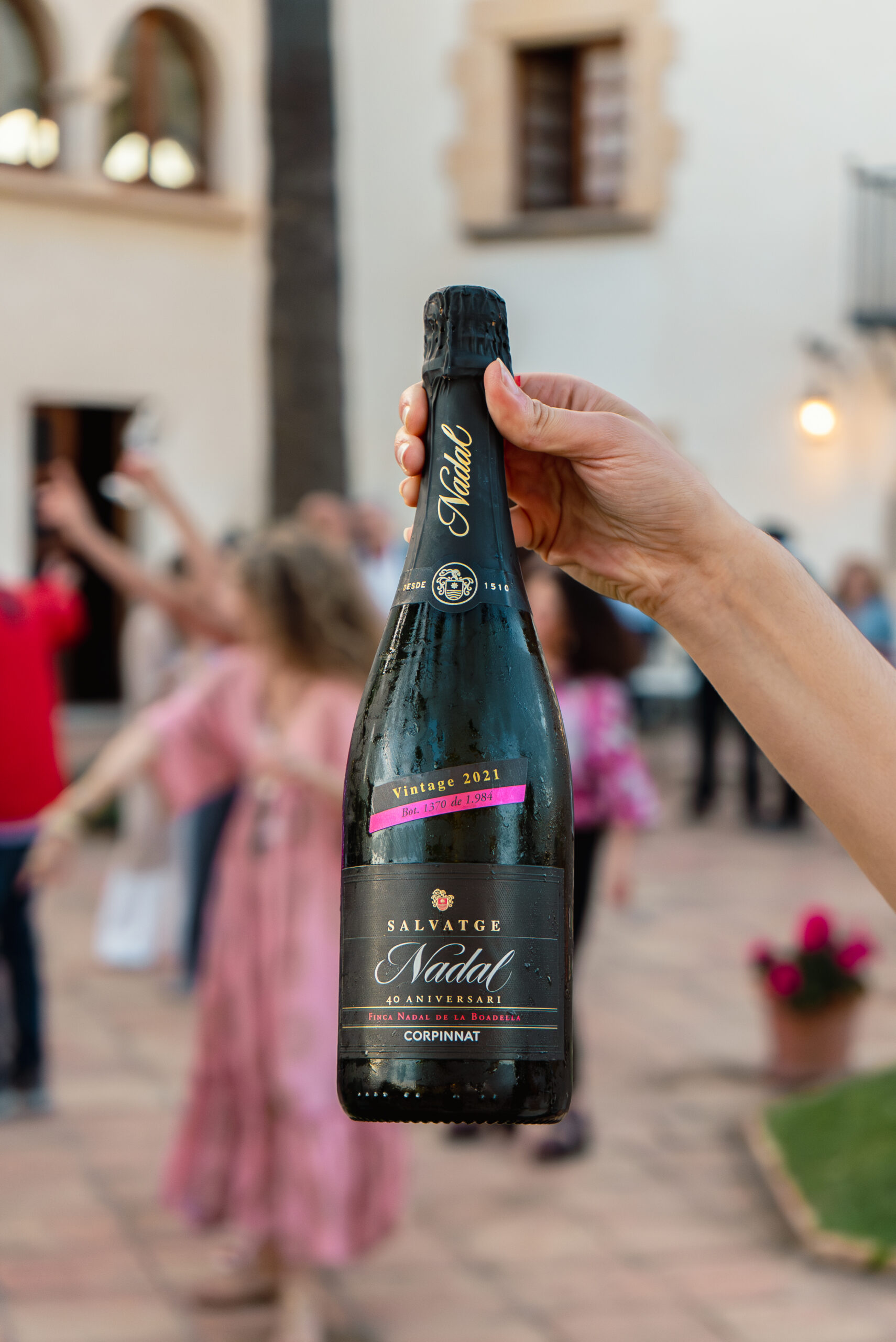 Tardeo Salvatge - Imatge 2