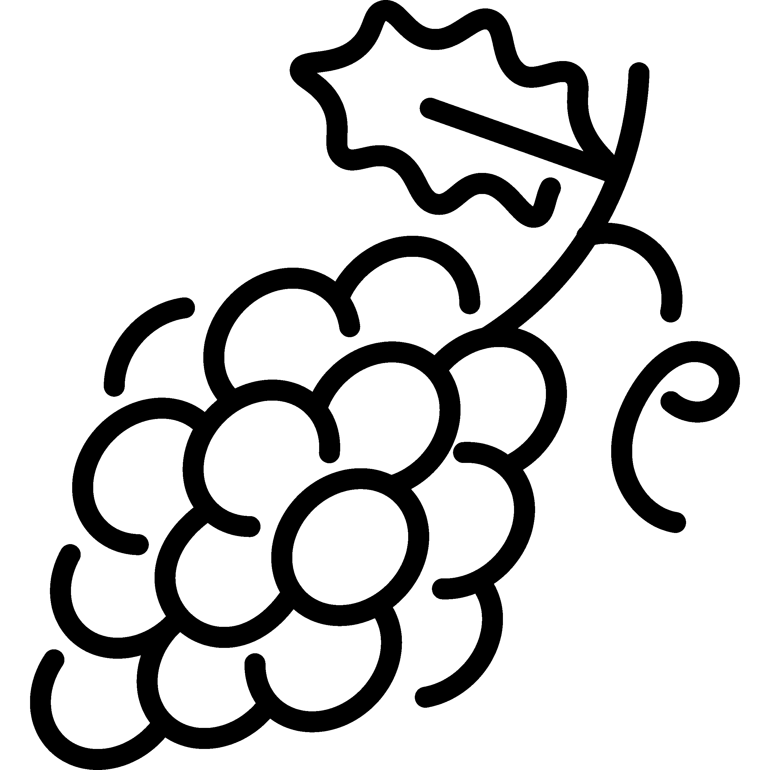 Cosecha ecológica y elaboración 100% propia