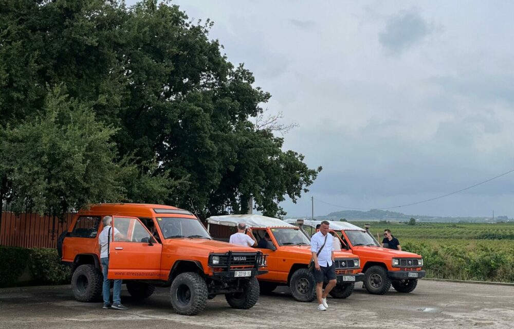 344bdbfb-f725-4717-829a-4fa81660f9f6 344bdbfb-f725-4717-829a-4fa81660f9f6