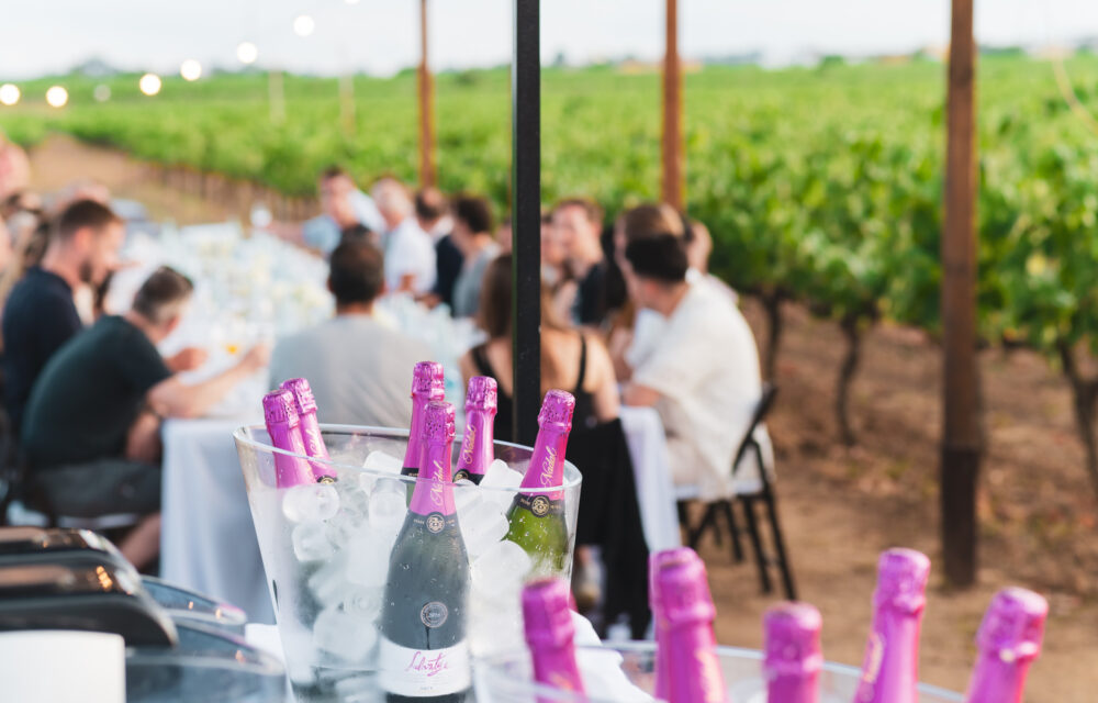 4d3c0edd-fbb3-45ad-b3de-5edfbea1a3b7 4d3c0edd-fbb3-45ad-b3de-5edfbea1a3b7