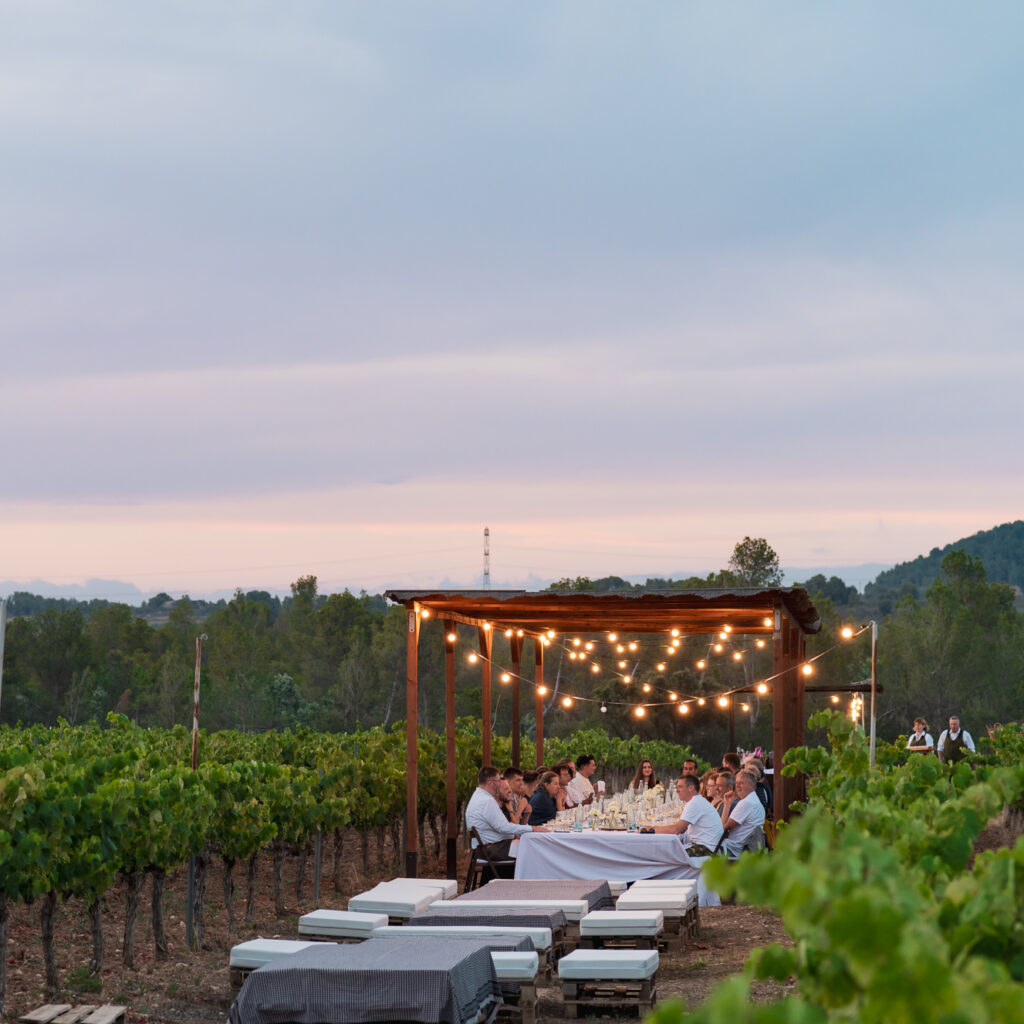 5835e0b8-0c3a-487b-8b38-23bcf1f1386a 5835e0b8-0c3a-487b-8b38-23bcf1f1386a