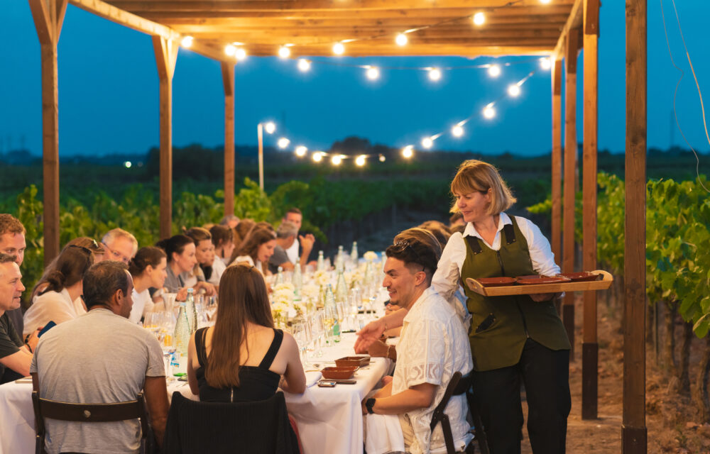 90fd2580-f5df-4c77-bea3-d6272700ddff 90fd2580-f5df-4c77-bea3-d6272700ddff