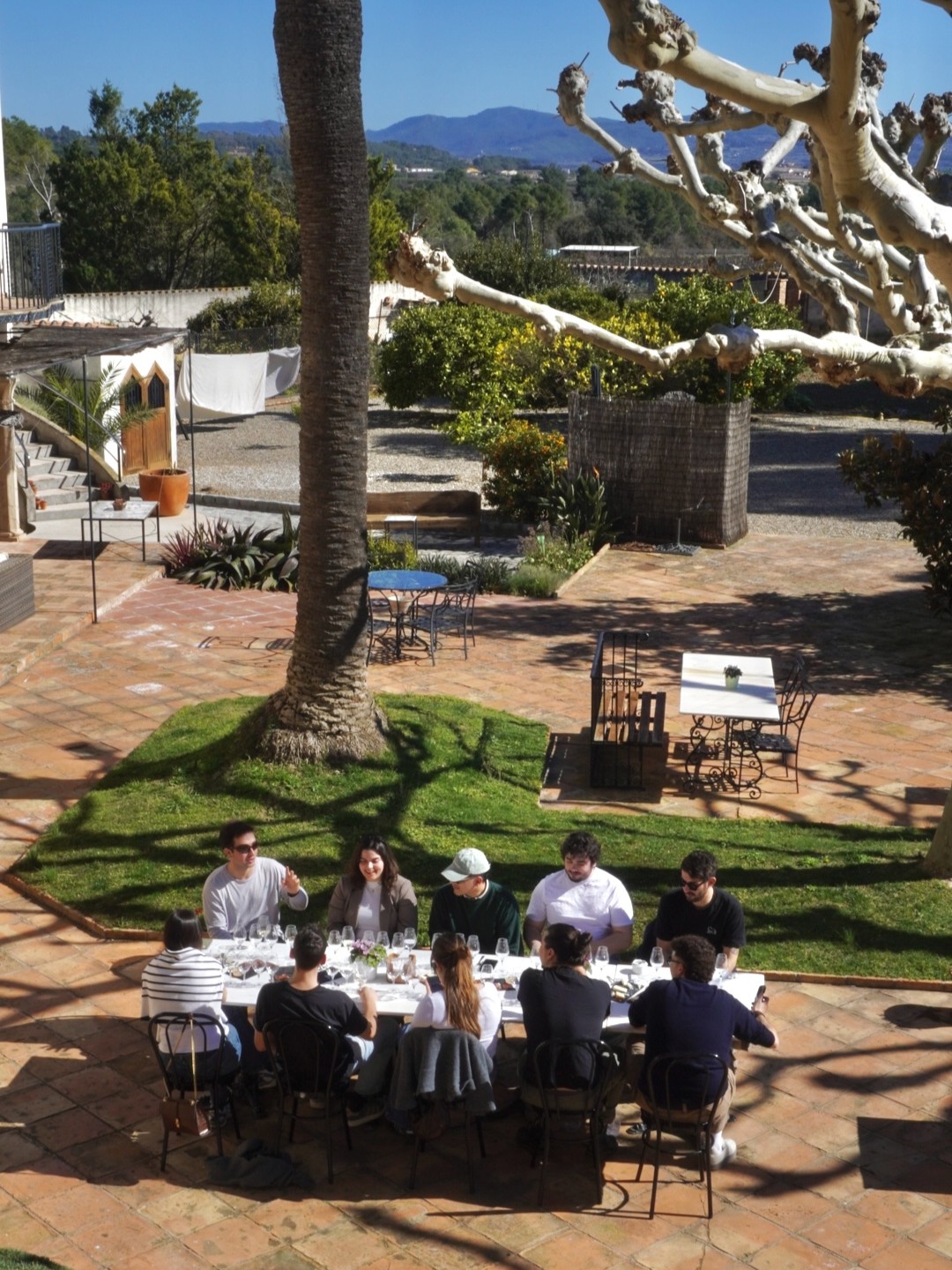 Corpinnateo Plot Twist & Coques de recapte - Imatge 2