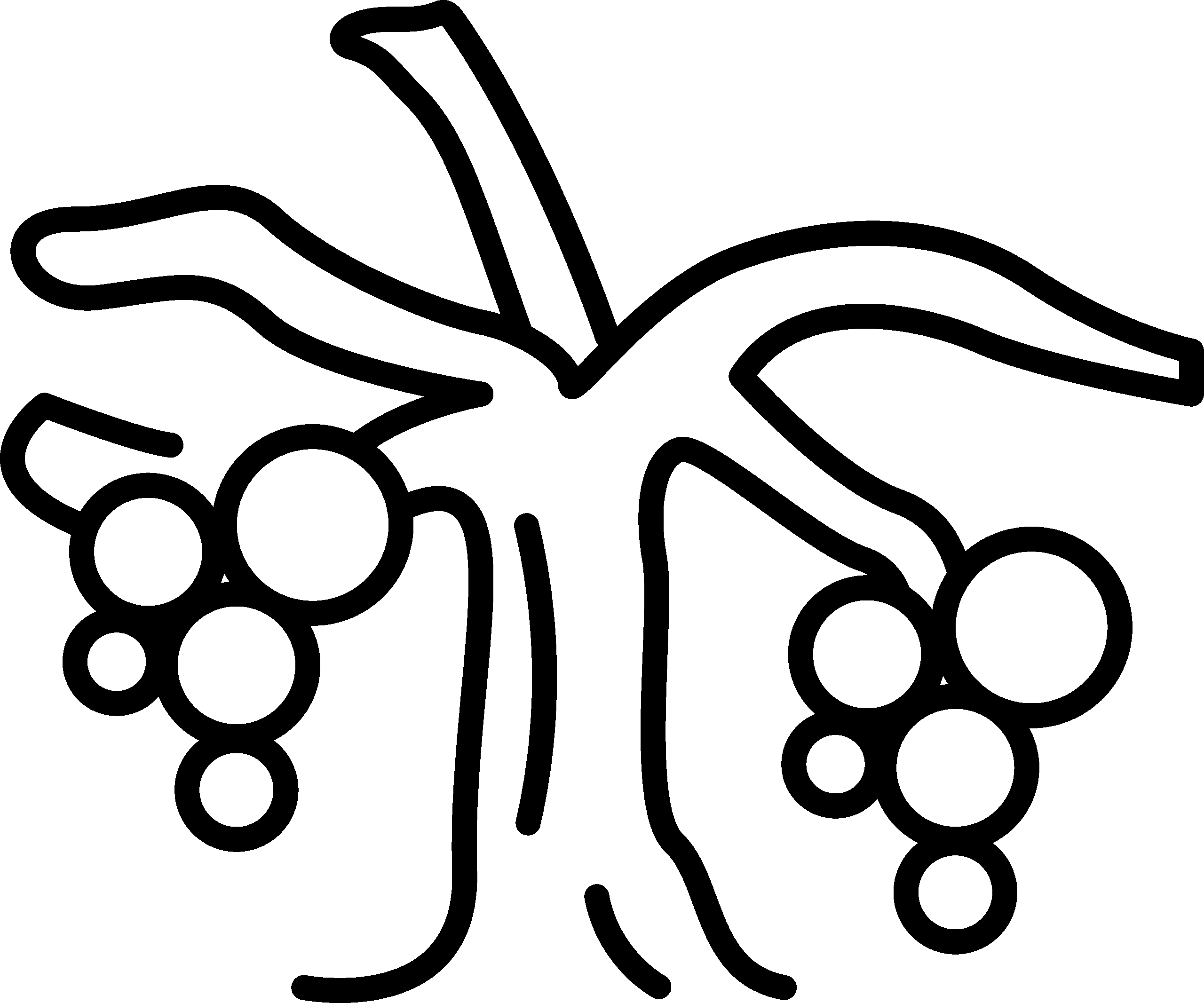 Teambuildings y experiencias corporativas entre viñedos